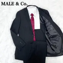 ✨美品✨ MALE&Co. ブラック ストライプ スーツ セットアップ A6