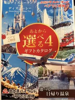 【期間限定値下げ】選べるペアチケット（ディズニー／富士急/ナガスパ／日帰り温泉）