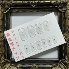 【　ショートオーバル　測定用チップ　】　ジェルネイル　ネイルチップ　オーダー