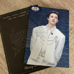 Stray Kids ランダムトレーディングカード　バンチャン