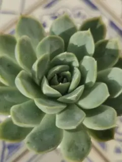 ♣maasa様 リクエスト 3点 まとめ商品