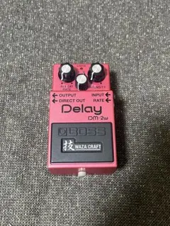 Rozz DELAY BOX 箱付き エフェクタージャンク - メルカリ