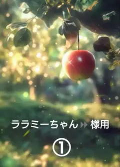 ララミーちゃん⏩️様 リクエスト 3点 まとめ商品