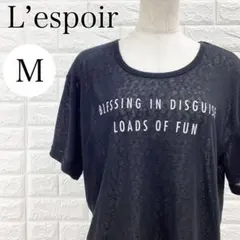 L’espoir Tシャツ 半袖 透け感 プルオーバー トップス A4390