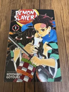 DEMON SLAYER: KIMETSU NO YAIBA 1