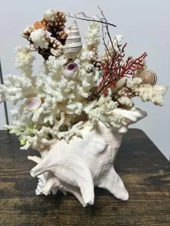 2026年最新】珊瑚 置物の人気アイテム - メルカリ