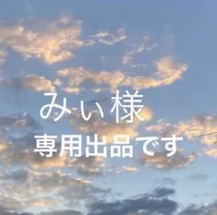 みぃ様専用！ Classical Elf 1点