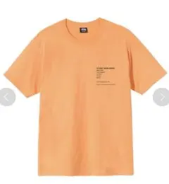 【stussy】Modern Leaders Tee