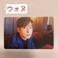 SEVENTEEN セブチ teenage ウォヌ トレカ