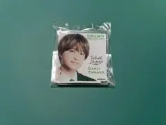 EBiDAN アクリルクリップ　さくらしめじ　田中雅功