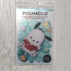サンリオ ポチャッコ カード