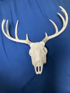 鹿の頭蓋骨 鹿の角 スカルホーン インテリア　エゾシカ 鹿の頭蓋骨 鹿の角 スカルホーン インテリア エゾシカ - メルカリ
