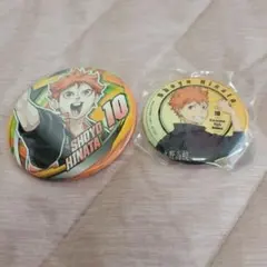 ハイキュー FUNPARK コレクション缶バッチFUN!! 日向翔陽