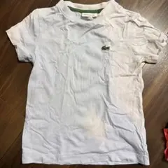 LACOSTE ホワイト Tシャツ 4 (104cm)のサムネイル