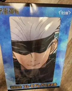 Item thumbnail for item 0d308c29-6ffa-46e6-9726-98f59d237aca