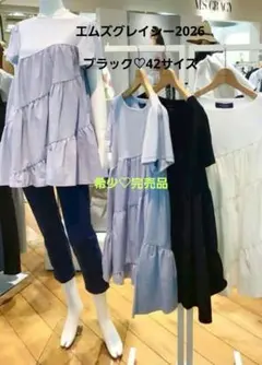 2026年最新】M'S GRACY レディース チュニックの人気アイテム - メルカリ