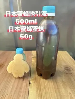 일본 허니비 어트런트 500ml & 허니비 50g