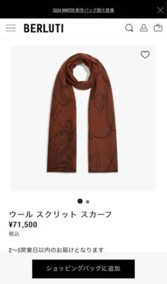 2025年最新】berluti マフラーの人気アイテム - メルカリ