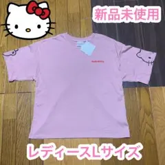 ハローキティ　Lサイズ　新品未使用　刺繍　くすみカラー　半袖　公式　サンリオ