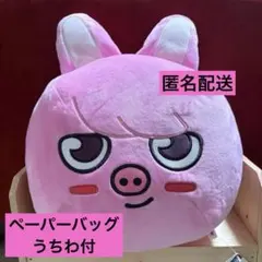 SKZOO GiGO 限定 ドーム型 BIG ぬいぐるみ トゥエッキ スキズ - メルカリ