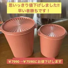 Tupperware (タッパーウェア) マキシクイーンデコレーター 2個セット
