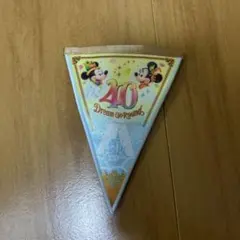 ミッキー ミニー 40周年バナー