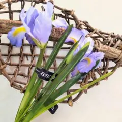 Item thumbnail for item 3ebef52d-b76c-48d5-a69c-aa6c70925a17