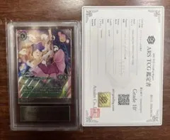 ロルカナ　大丈夫、家族がいる　エンチャンテッド　PSA10 2026年最新】ロルカナ エンチャンテッド psa10の人気アイテム - メルカリ