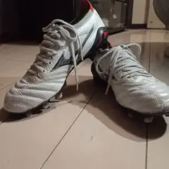 モレリアネオ4β