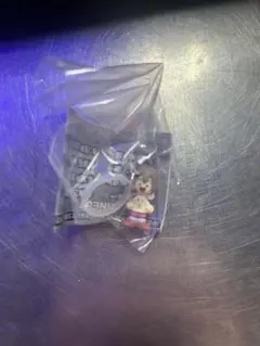 デジモンアドベンチャー めじるしアクセサリー2 八神ヒカリ