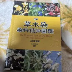 Item thumbnail for item fb46cde8-4830-48dd-81ed-7eb58554a9f1