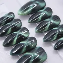 1110 ネイルチップSサイズ 韓国 マグネット クール 大人