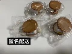 サンリオ　ふにゅっとスモアサンド ペックル　ポチャッコ　シナモロール　こぎみゅん