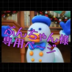 ぶんちゃん様専用ページ