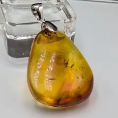 ​【極上】太古の記憶を宿す芸術。ロシア産 天然虫入り琥珀 Silver925