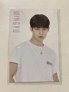 SEVENTEEN/セブチ/ポストカードセット/ミンギュ/MINGYU