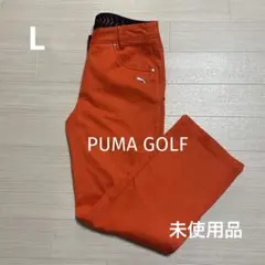 Item thumbnail for item 1189069d-9c93-4e78-8962-c4bbab4bfb3b