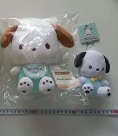 サンリオ ポチャッコ ぬいぐるみ