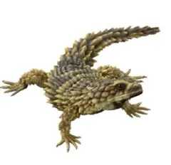 アルマジロトカゲ (新色)　いきもの大図鑑 アドバンス　ガシャポンのサムネイル