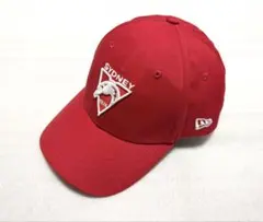 Item thumbnail for item 7bc57652-1dd7-49eb-985a-521fa2cc5079