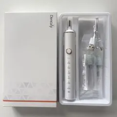 [덴탈리] 전동 칫솔 (교체용 브러시 2개 포함)