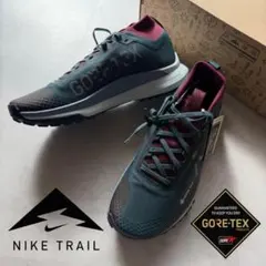 新品 25.5cm ナイキ リアクト ペガサス トレイル 4 GTX