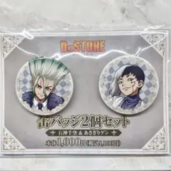 Dr.STONE 石神千空 あさぎりゲン 缶バッジ チェス ファミリーマート
