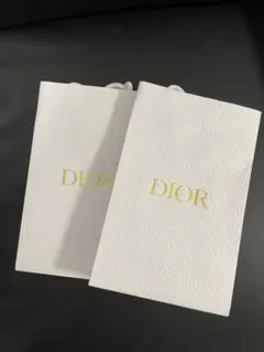 Dior ショップ袋セット 2枚