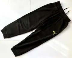 Item thumbnail for item 5cf56eb7-0416-42f5-8343-590be9270ac6