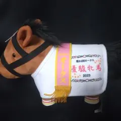 サラブレッドコレクション　馬服コスチューム　リバティアイランド