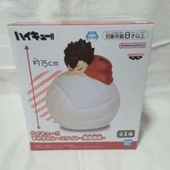 ハイキュー!!すやすやルームライト 黒尾鉄朗