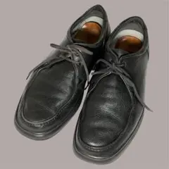 Item thumbnail for item d0b7ccc2-7ba9-4307-8c97-28c506d94f5c