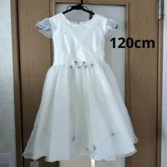 Item thumbnail for item 7e97a7b6-a839-48aa-9d9e-5378b3c082be