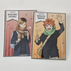 ハイキュー コスモワールド 孤爪研磨 日向翔陽　特典 ビジュアルカード